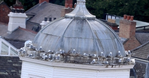 Guildhall-Tyne-Kittiwakes-2022-a