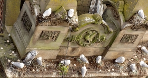 Phoenix-House-Tyne-Kittiwakes-2022-c