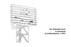 Kittiwake-Tower-sketch-by-Ashley-Bayston