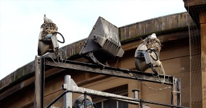 Best-Tyne-Kittiwake-nests-Entry4-on-street-lights-2022