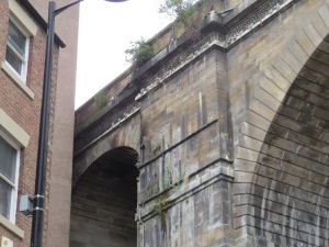 Best-Tyne-Kittwake-nests-Entry2-Railway-Bridge-by-Lophophanes-2022