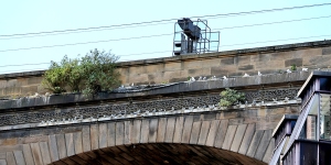 Newcastle-Railway-Bridge-Tyne-Kittiwakes-22nd-June-2024