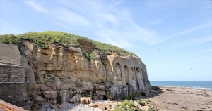 Tynemouth-Haven-Kittiwake-Colony